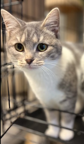 Agency Photo  (206289)