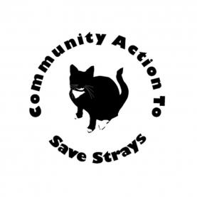 Agency Logo