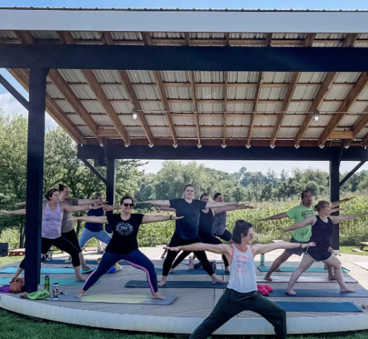 Agency Photo  (250162)