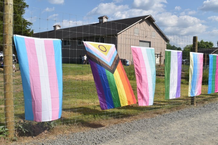 Agency Photo  (244312)