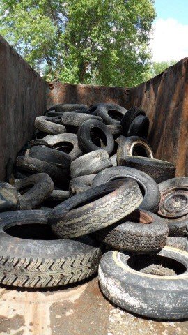 Agency Photo  (262456)