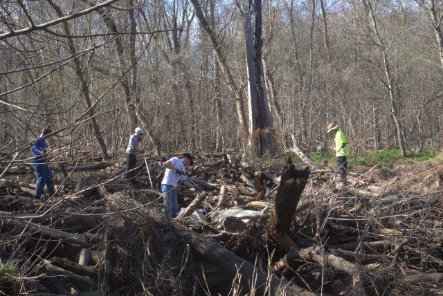 Agency Photo  (262461)