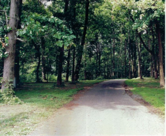 Agency Photo  (245715)