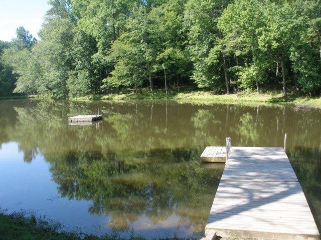 Agency Photo  (245708)