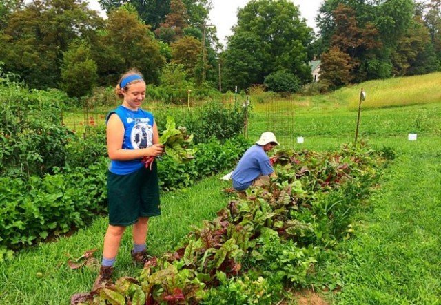 Agency Photo  (244700)