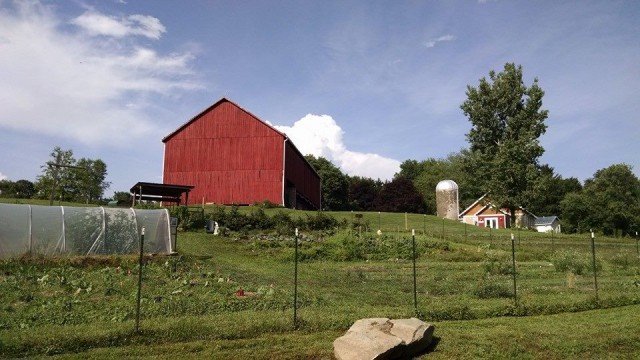 Agency Photo  (244957)