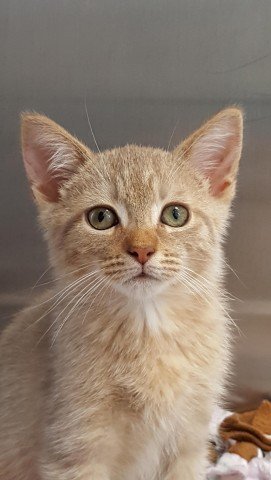 Agency Photo  (245666)