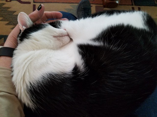 Agency Photo  (245008)