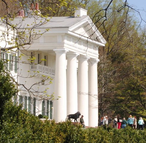 Agency Photo  (78286)