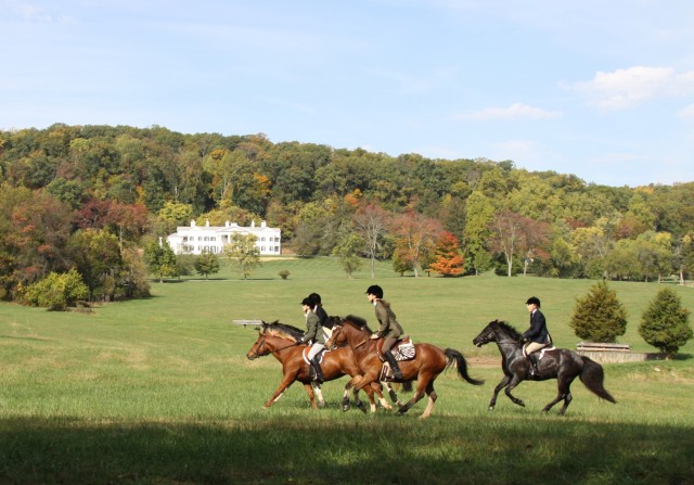 Agency Photo  (78285)