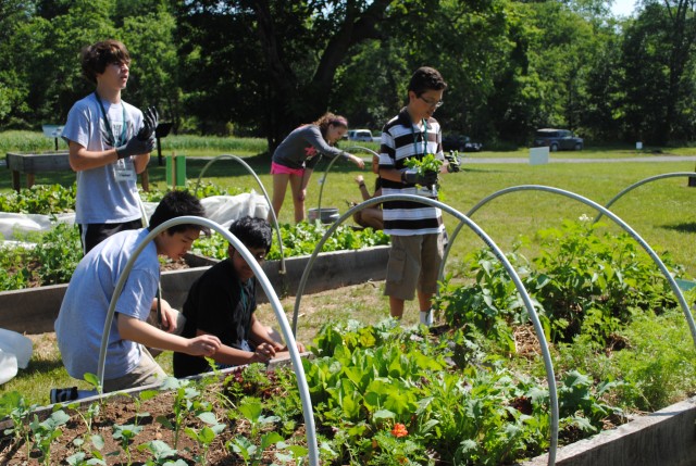 Agency Photo  (78287)