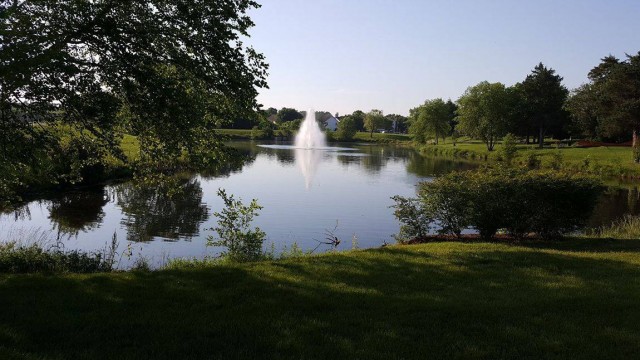 Agency Photo  (89959)