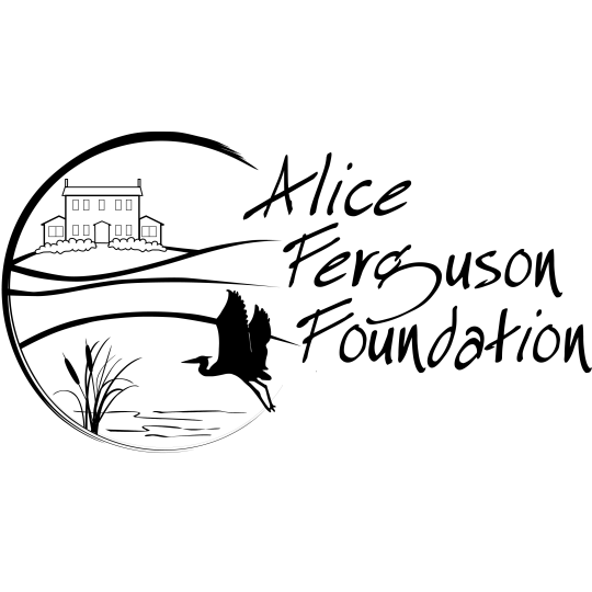 Agency Logo