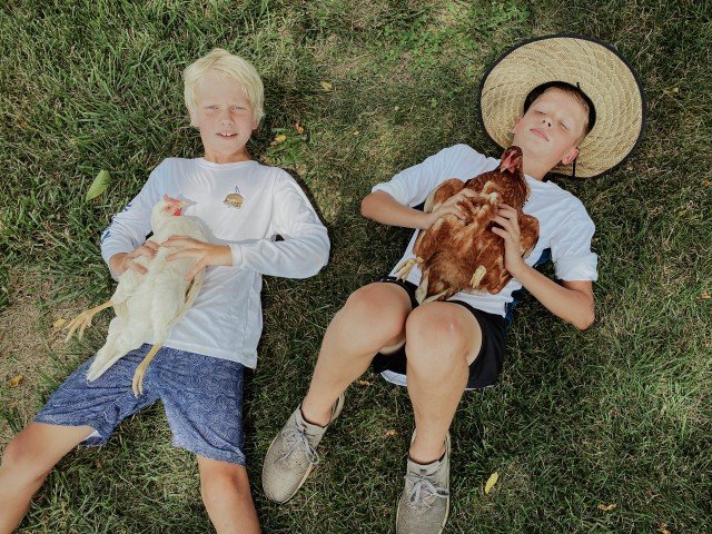 Agency Photo  (245786)