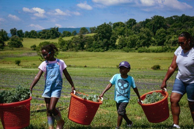 Agency Photo  (245731)