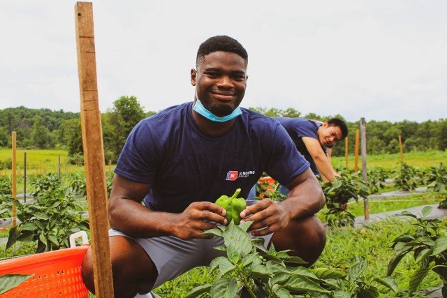 Agency Photo  (245805)