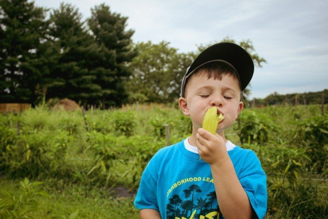 Agency Photo  (245789)