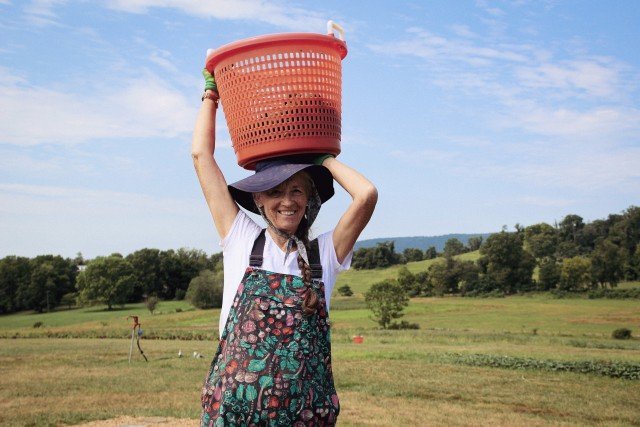 Agency Photo  (245370)