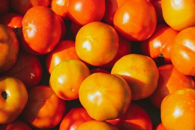 Agency Photo  (245991)