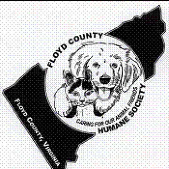 Agency Logo