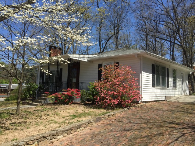 Agency Photo  (77906)