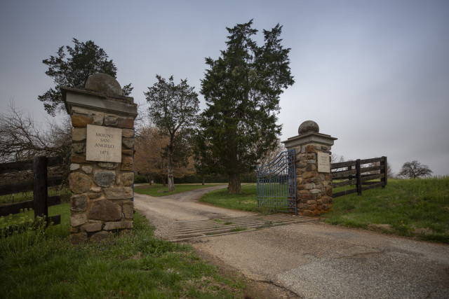 Agency Photo  (147103)