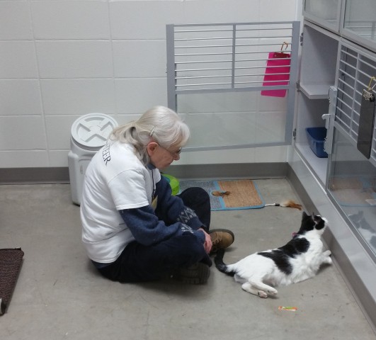 Agency Photo  (90910)