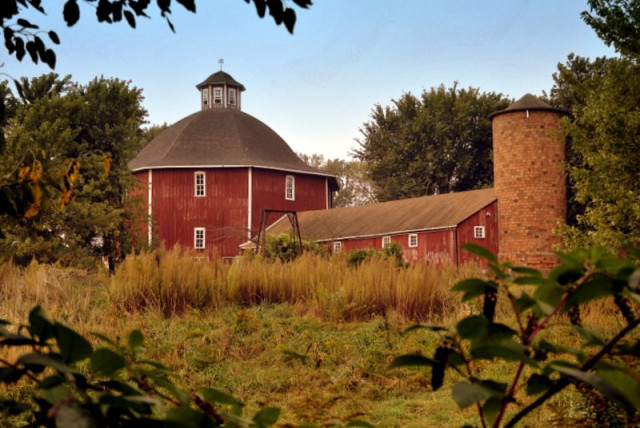 Agency Photo  (123103)