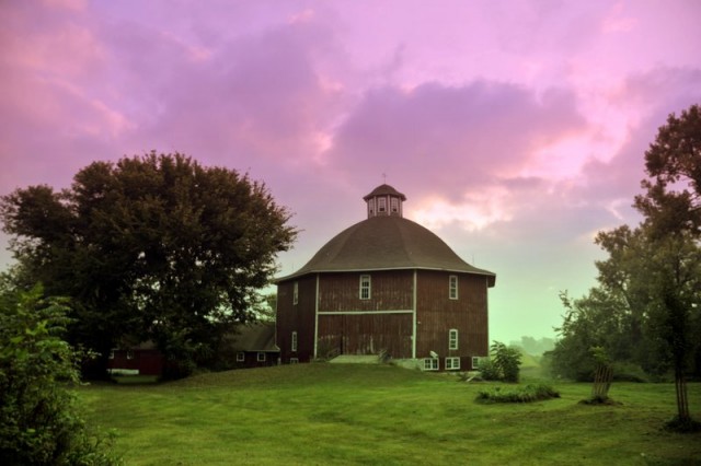 Agency Photo  (89981)