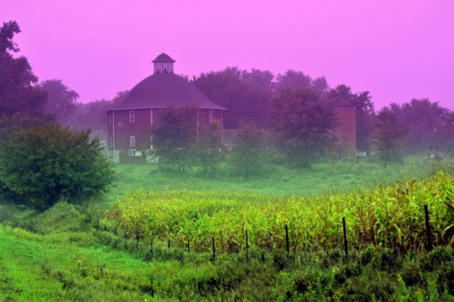 Agency Photo  (89984)