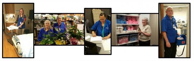 Agency Photo  (103404)