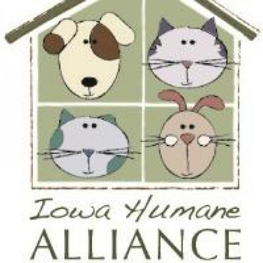 Agency Logo