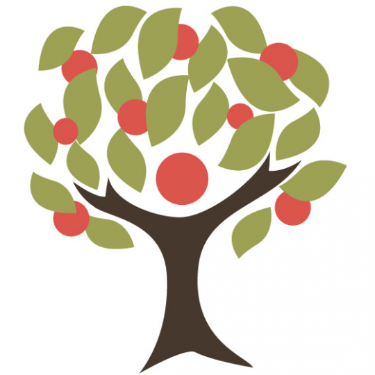 Agency Logo