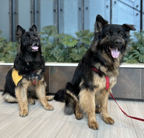 Agency Photo  (246600)