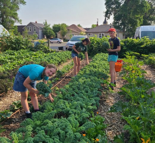 Agency Photo  (250468)