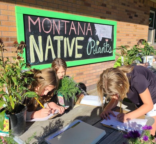 Agency Photo  (250469)