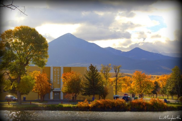 Agency Photo  (76641)