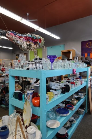 Agency Photo  (215158)