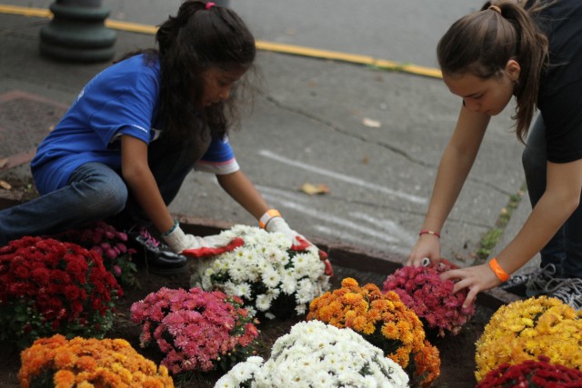 Agency Photo  (51430)