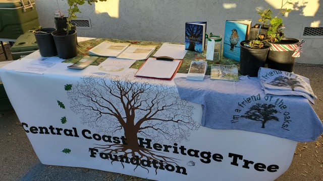 Agency Photo  (186995)