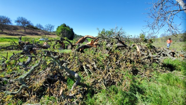 Agency Photo  (186985)