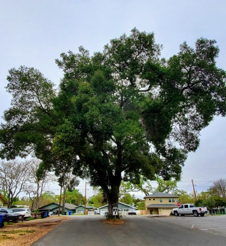 Agency Photo  (186986)