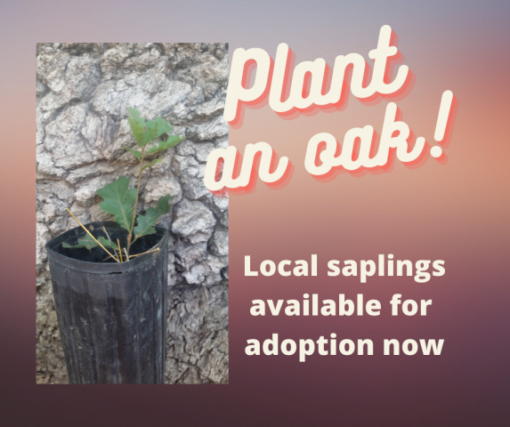 Agency Photo  (186987)