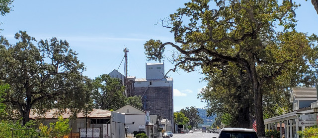 Agency Photo  (162656)