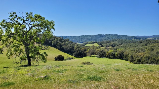 Agency Photo  (186984)