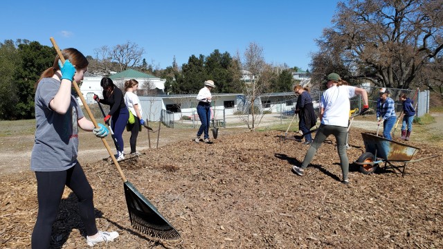 Agency Photo  (186983)