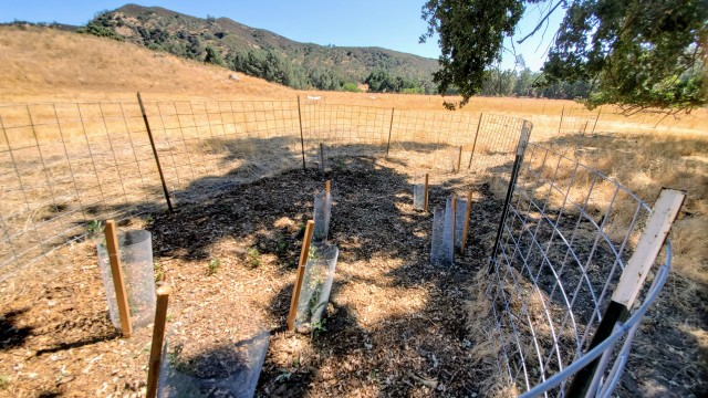 Agency Photo  (186993)