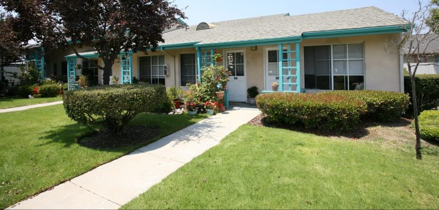Agency Photo  (213113)