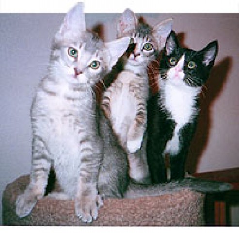 Agency Photo  (56975)