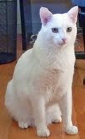 Agency Photo  (56979)